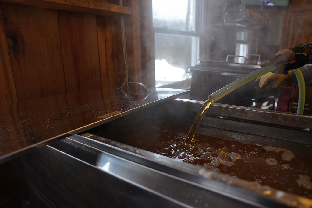 Filtering & Bottling Somerskogen Sugarbush 100 Pure Minnesota